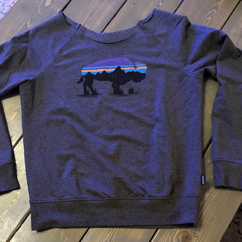 Patagonia Sweatshirt
